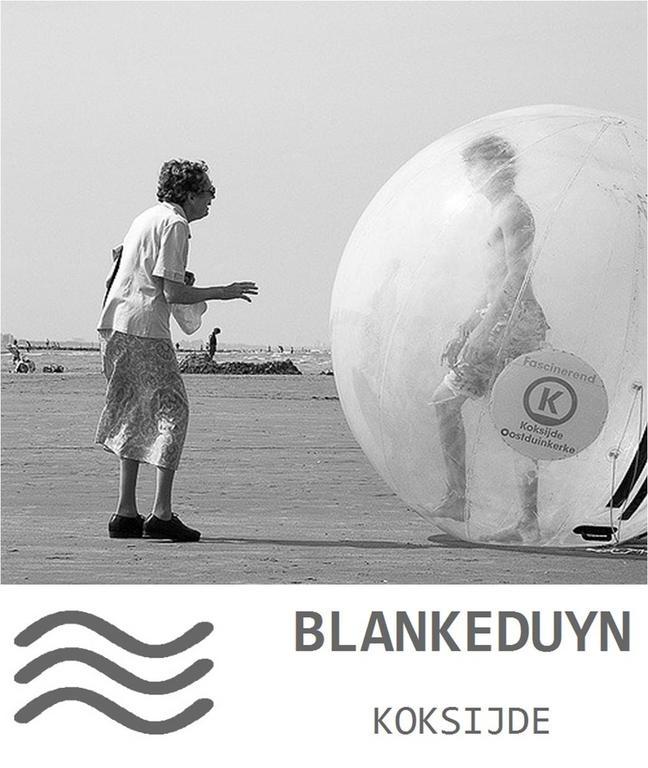 Blankeduyn Koksijde Leilighet Eksteriør bilde